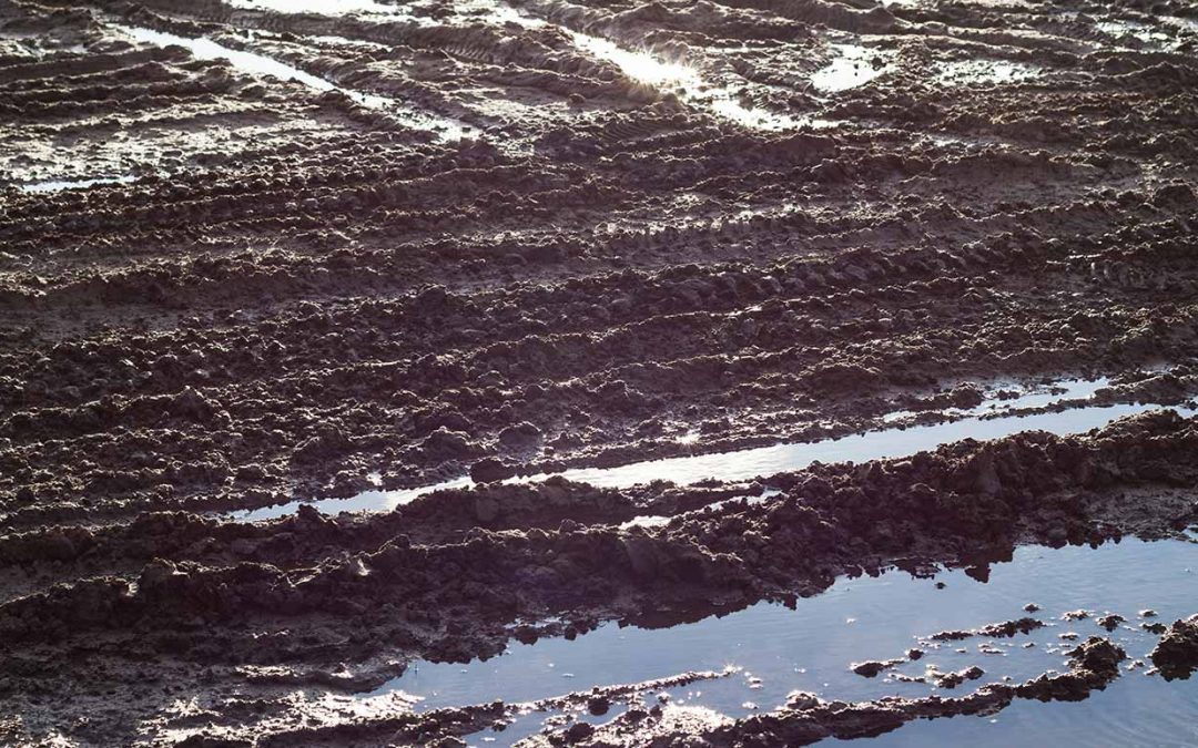 Soil Drying Agents